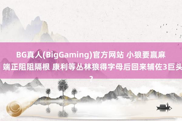 BG真人(BigGaming)官方网站 小狼要赢麻？端正阻阻隔根 康利等丛林狼得字母后回来辅佐3巨头？