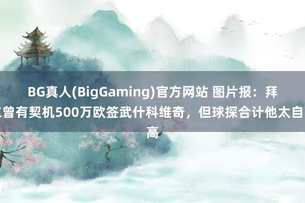 BG真人(BigGaming)官方网站 图片报：拜仁曾有契机500万欧签武什科维奇，但球探合计他太自高