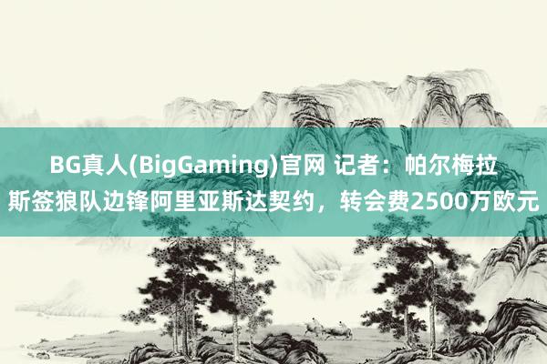 BG真人(BigGaming)官网 记者：帕尔梅拉斯签狼队边锋阿里亚斯达契约，转会费2500万欧元