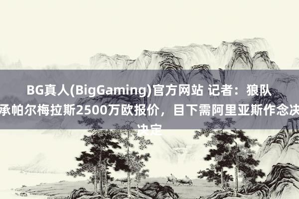 BG真人(BigGaming)官方网站 记者：狼队继承帕尔梅拉斯2500万欧报价，目下需阿里亚斯作念决定