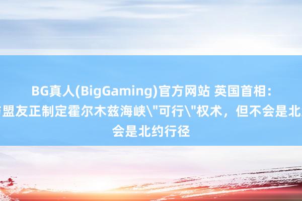 BG真人(BigGaming)官方网站 英国首相：英国与盟友正制定霍尔木兹海峡