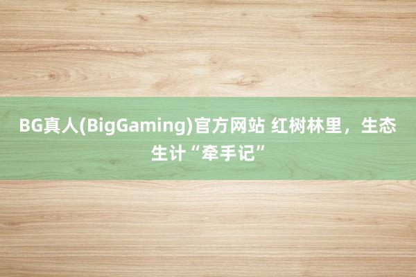 BG真人(BigGaming)官方网站 红树林里，生态生计“牵手记”