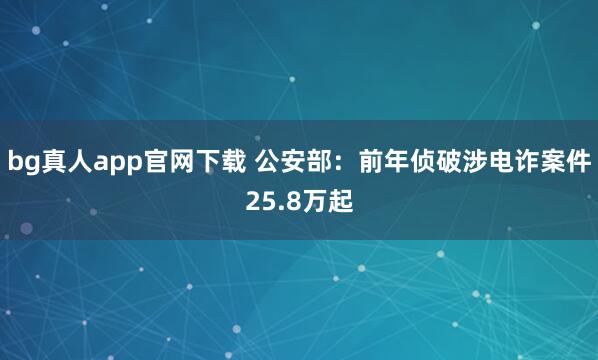 bg真人app官网下载 公安部：前年侦破涉电诈案件25.8万起