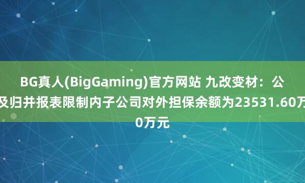 BG真人(BigGaming)官方网站 九改变材：公司及归并报表限制内子公司对外担保余额为23531.60万元