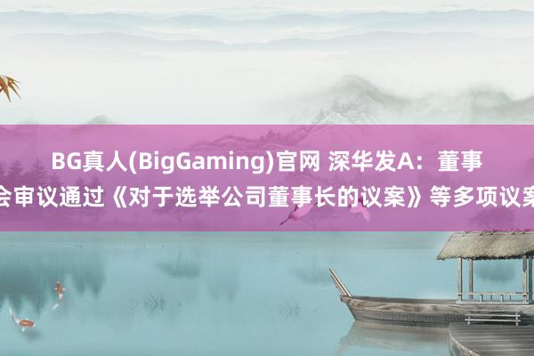 BG真人(BigGaming)官网 深华发A：董事会审议通过《对于选举公司董事长的议案》等多项议案
