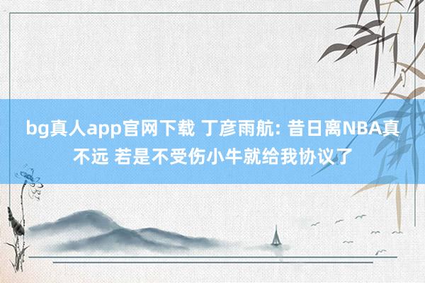 bg真人app官网下载 丁彦雨航: 昔日离NBA真不远 若是不受伤小牛就给我协议了