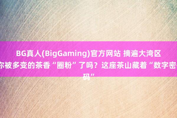 BG真人(BigGaming)官方网站 摘遍大湾区丨你被多变的茶香“圈粉”了吗？这座茶山藏着“数字密码”