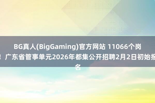 BG真人(BigGaming)官方网站 11066个岗亭！广东省管事单元2026年都集公开招聘2月2日初始报名