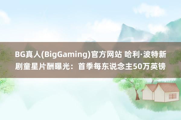 BG真人(BigGaming)官方网站 哈利·波特新剧童星片酬曝光：首季每东说念主50万英镑