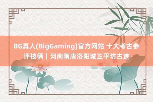 BG真人(BigGaming)官方网站 十大考古参评技俩｜河南隋唐洛阳城正平坊古迹