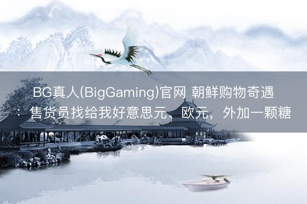 BG真人(BigGaming)官网 朝鲜购物奇遇：售货员找给我好意思元、欧元，外加一颗糖