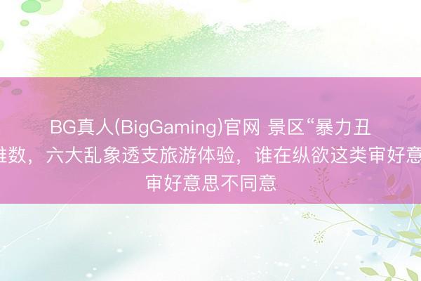 BG真人(BigGaming)官网 景区“暴力丑学”更仆难数，六大乱象透支旅游体验，谁在纵欲这类审好意思不同意