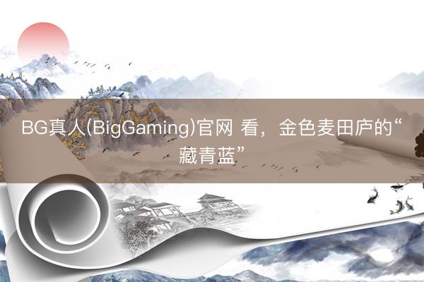BG真人(BigGaming)官网 看，金色麦田庐的“藏青蓝”