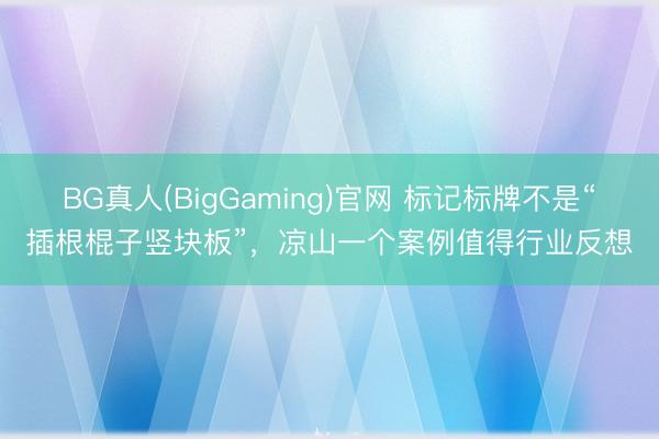 BG真人(BigGaming)官网 标记标牌不是“插根棍子竖块板”，凉山一个案例值得行业反想