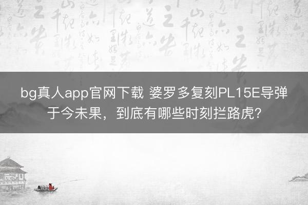 bg真人app官网下载 婆罗多复刻PL15E导弹于今未果，到底有哪些时刻拦路虎？