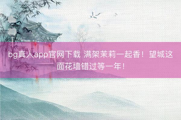 bg真人app官网下载 满架茉莉一起香！望城这面花墙错过等一年！