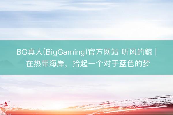 BG真人(BigGaming)官方网站 听风的鲸 | 在热带海岸，拾起一个对于蓝色的梦