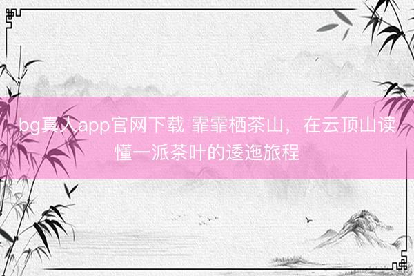 bg真人app官网下载 霏霏栖茶山，在云顶山读懂一派茶叶的逶迤旅程