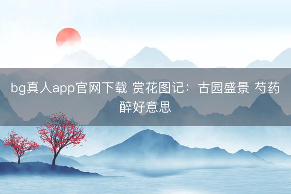 bg真人app官网下载 赏花图记：古园盛景 芍药醉好意思