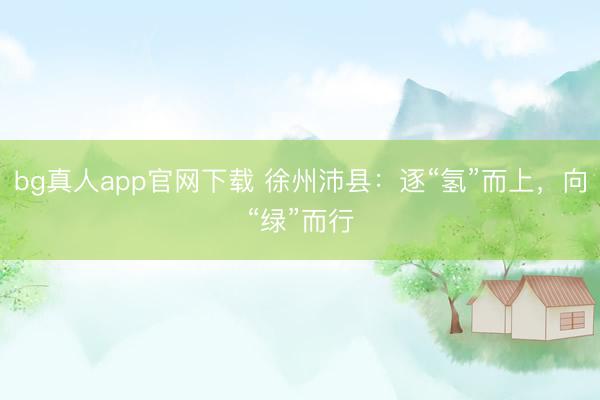 bg真人app官网下载 徐州沛县：逐“氢”而上，向“绿”而行