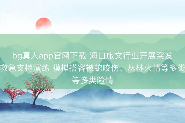 bg真人app官网下载 海口旅文行业开展突发事件救急支持演练 模拟搭客被蛇咬伤、丛林火情等多类险情