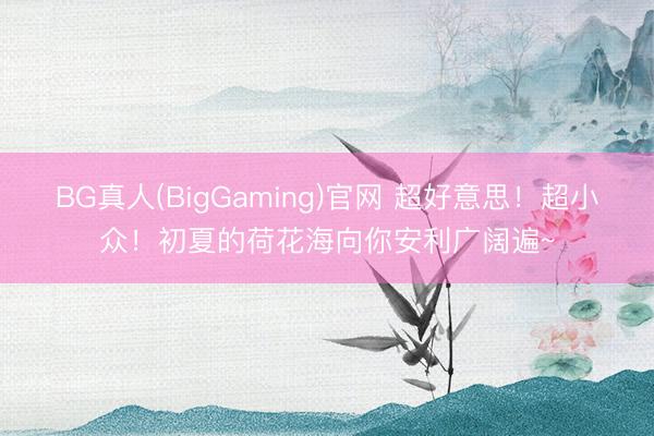 BG真人(BigGaming)官网 超好意思！超小众！初夏的荷花海向你安利广阔遍~