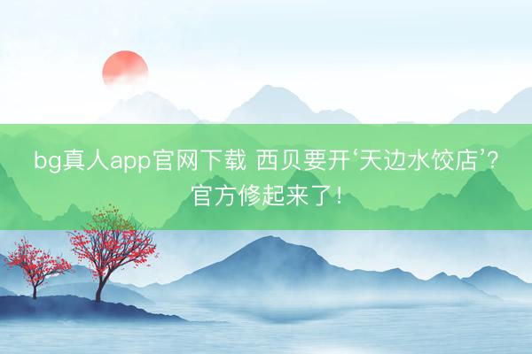 bg真人app官网下载 西贝要开‘天边水饺店’？官方修起来了！