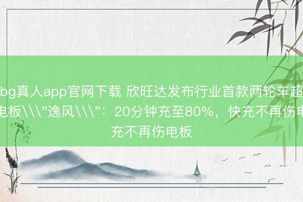 bg真人app官网下载 欣旺达发布行业首款两轮车超充电板\