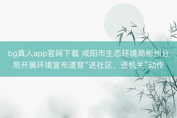 bg真人app官网下载 咸阳市生态环境局彬州分局开展环境宣布道育“进社区、进机关”动作