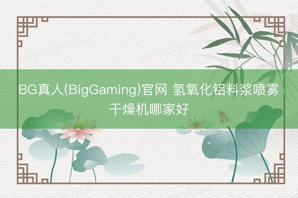 BG真人(BigGaming)官网 氢氧化铝料浆喷雾干燥机哪家好