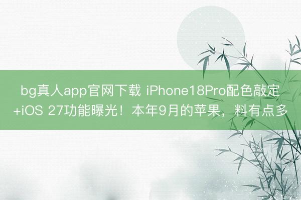 bg真人app官网下载 iPhone18Pro配色敲定+iOS 27功能曝光！本年9月的苹果，料有点多