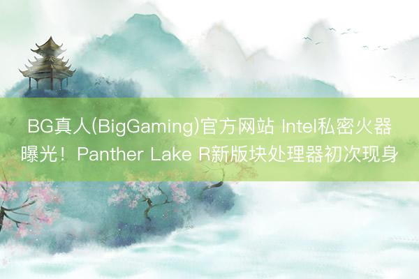 BG真人(BigGaming)官方网站 Intel私密火器曝光！Panther Lake R新版块处理器初次现身