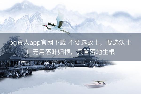 bg真人app官网下载 不要选故土,要选沃土!无用落叶归根,只管落地生根