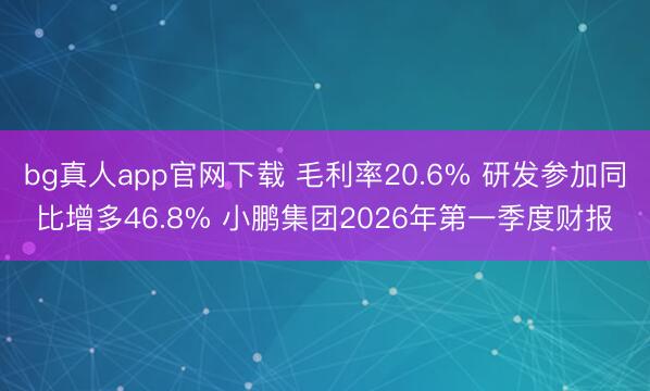 bg真人app官网下载 毛利率20.6% 研发参加同比增多46.8% 小鹏集团2026年第一季度财报