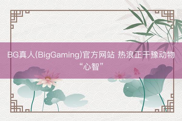 BG真人(BigGaming)官方网站 热浪正干豫动物“心智”