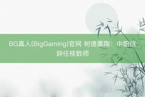 BG真人(BigGaming)官网 树德熏陶：中职信辞任核数师