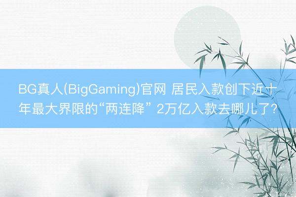 BG真人(BigGaming)官网 居民入款创下近十年最大界限的“两连降” 2万亿入款去哪儿了？