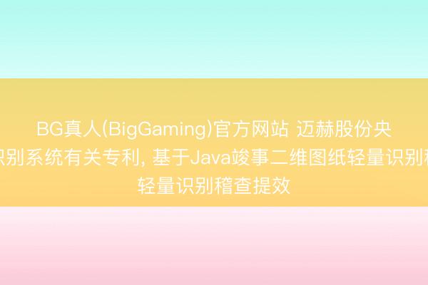 BG真人(BigGaming)官方网站 迈赫股份央求图纸识别系统有关专利， 基于Java竣事二维图纸轻量识别稽查提效