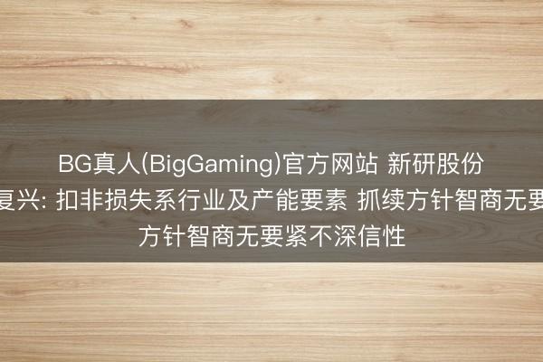 BG真人(BigGaming)官方网站 新研股份年报问询函复兴: 扣非损失系行业及产能要素 抓续方针智商无要紧不深信性